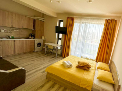 Studio de inchiriat zona Hanul cu Peste 
