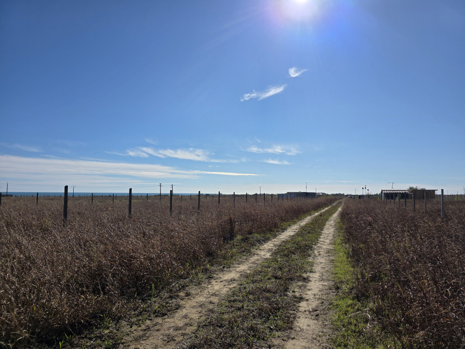 Teren intravilan 548 mp in Corbu, ideal pentru investitie