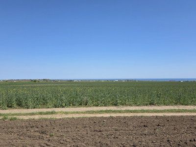 Teren extravilan in Corbu, 2000 MP, zona Plaja Corbu