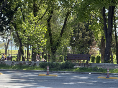 Apartament de vânzare cu 4 camere in Tomis Nord, Vedere parc, etaj 1