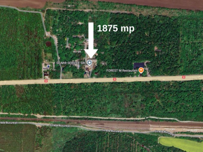 Teren in mijlocul padurii Valu lui Traian 1875 mp si bonus cladire 450 mp hala